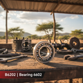 B6202 Bearing 6202