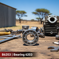 B6203 Bearing 6203