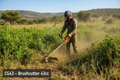 CG43 — Brushcutter 43cc