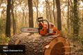 H61 — Nguni Chainsaw 61cc