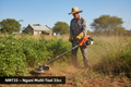 Nguni NMT33 33cc multi-tool with brush cutter head clearing bush on a South African farm