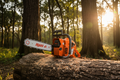 MBTC – 62CC NGUNI CHAINSAW