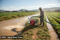 NWP — Nguni Water Pump